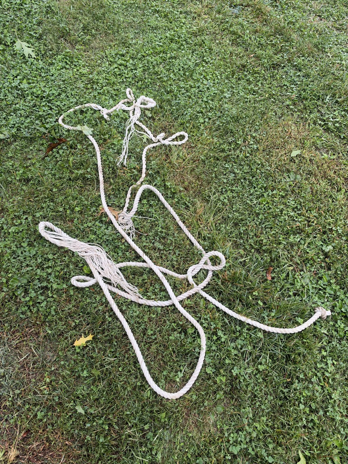 The cut, unraveled rope lying in the grass