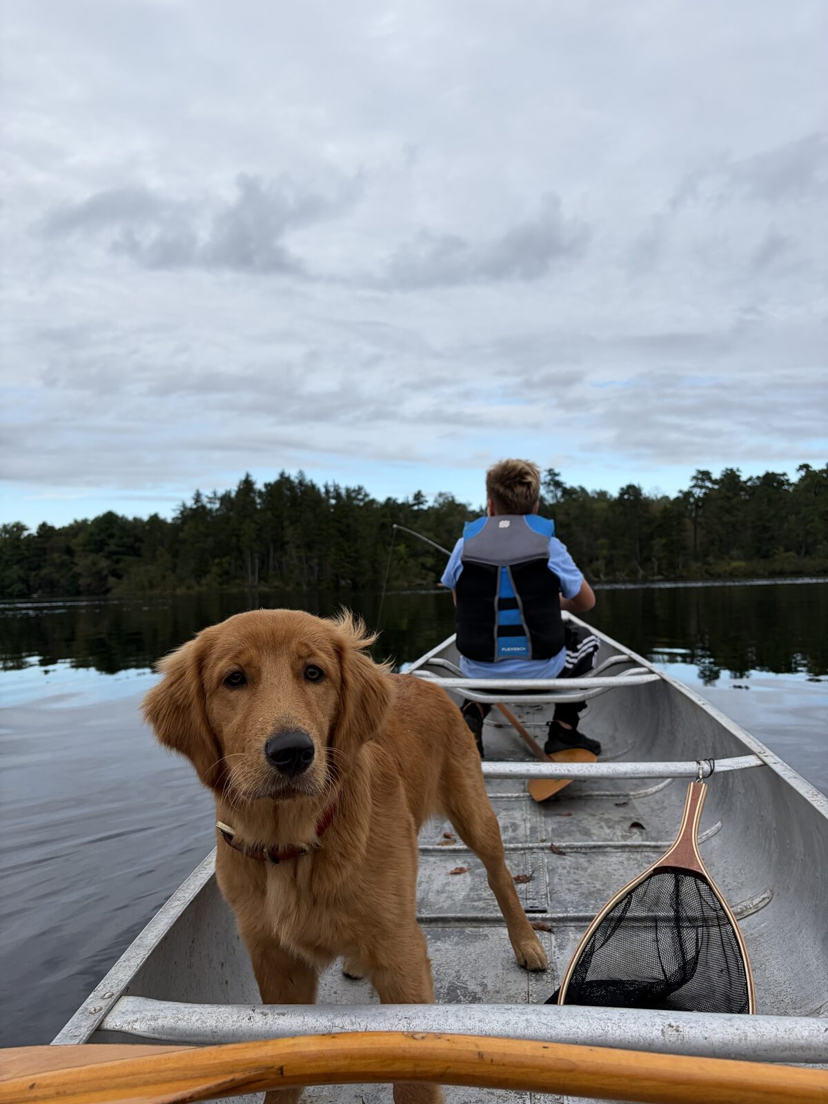 Jazz in an aluminum canoe on Lake Atsion, my son in the bow.